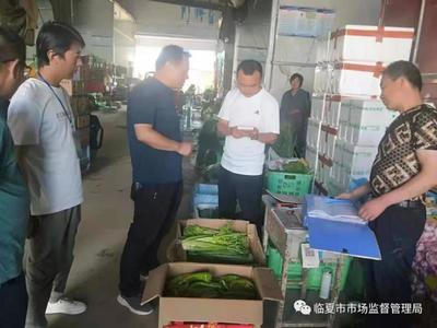 市市场监管局联合开展食用农产品批发市场体系检查，护航农产品生产安全