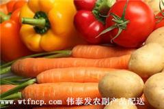 月子餐配送 从营养调理到规模化批发的一站式解析