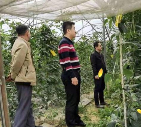 海口市农业农村局赴琼山区强化农产品生产安全监管，筑牢食用农产品批发安全防线