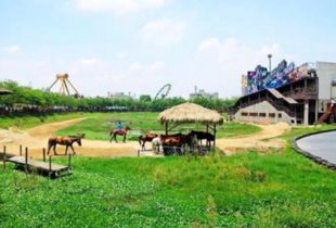 共享农庄新模式如何助力海南美丽乡村建设与农产品生产