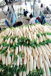 蔬菜价格回落，食用农产品批发市场呈现稳定态势